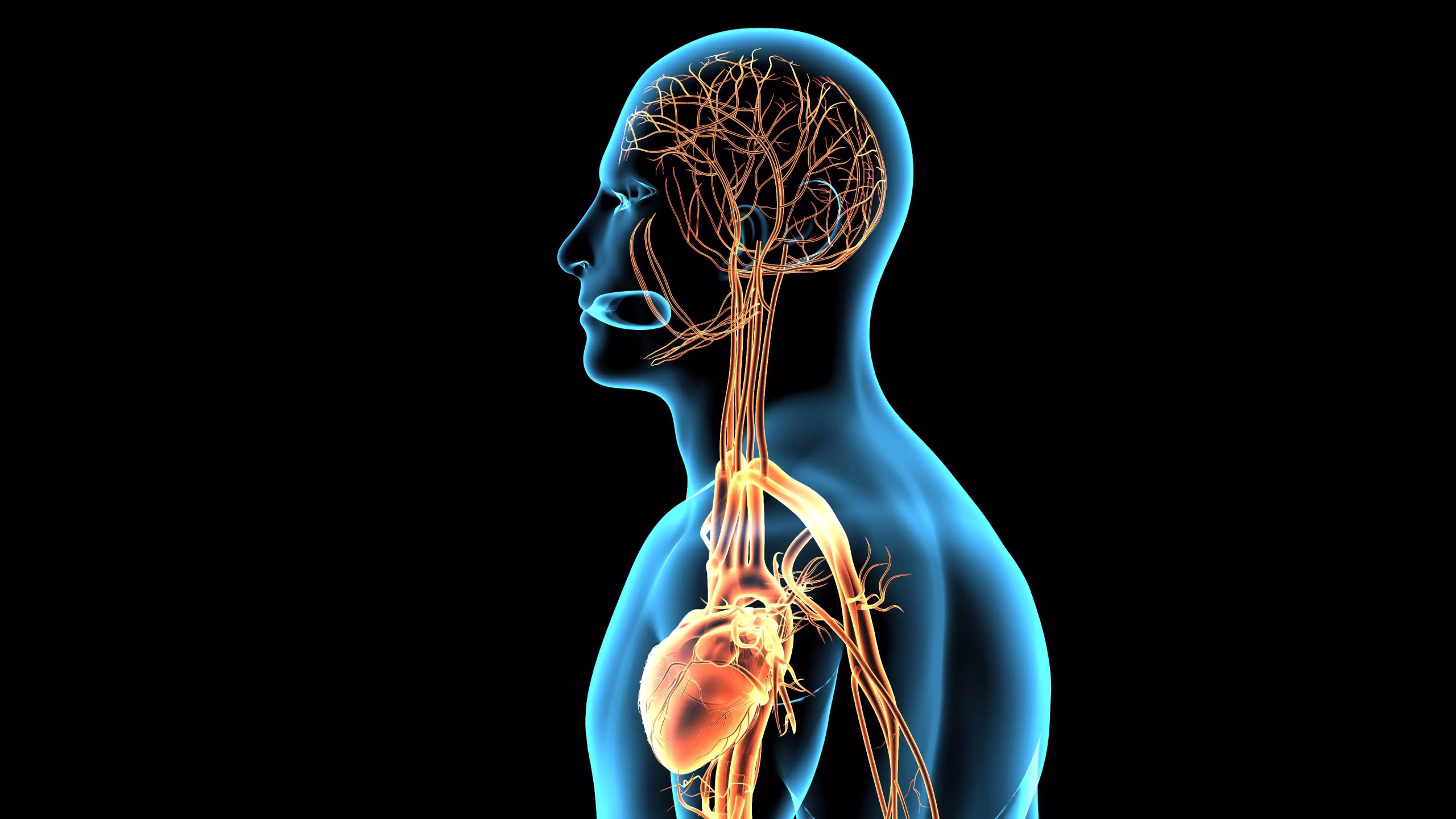 Featured image for “Trauma, the Nervous System and How Trauma Affects It (And How It Can Be Reset)”